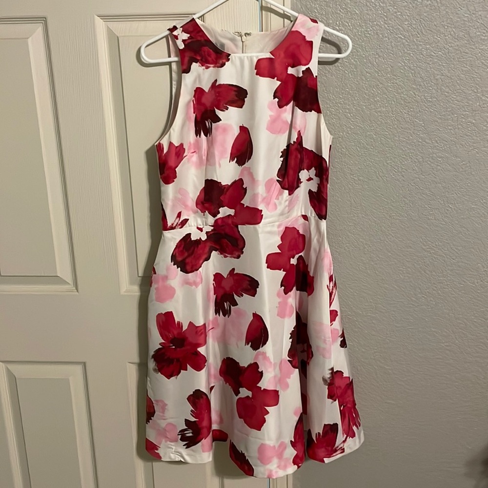 Floral Fit and Flare Dress
